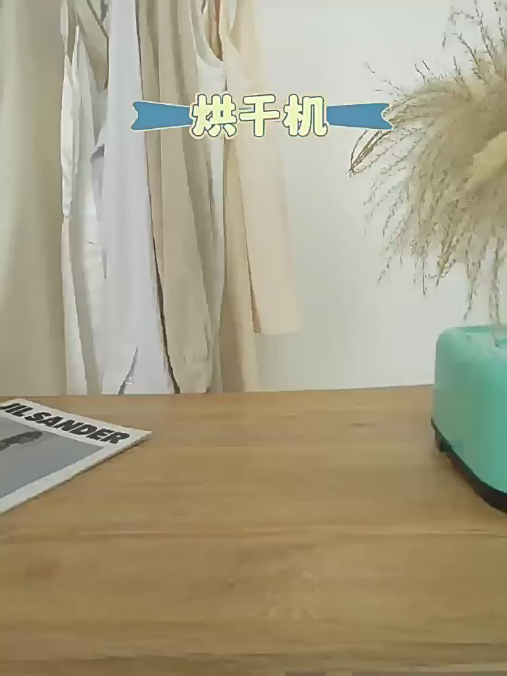 Ultra-Fast Smart Mini Dryer with Quick-Fold Design